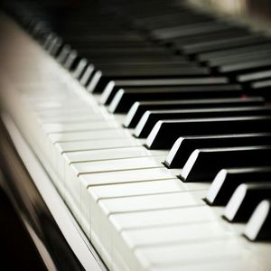 风楼阁全国同城网页版
